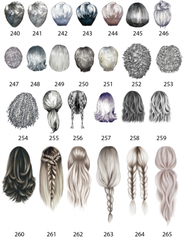 Beste vriendin portret grijze harentekengebied 1 12