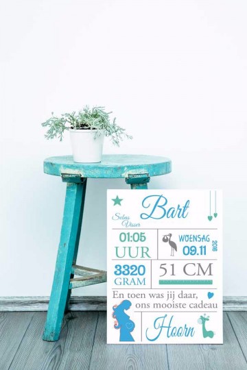 Geboorteposter jongen pastelkleuren frame krukje