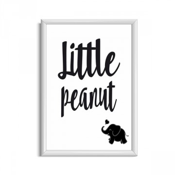 Little peanut frame wit website