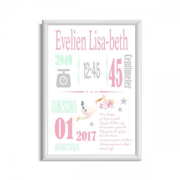Meisje baby geboorteposter kopen ooievaar