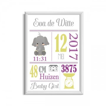 Pasgeboren baby kraamkado meisje geboorteposter